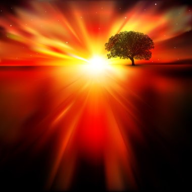 arka plan ağaç ve gündoğumu