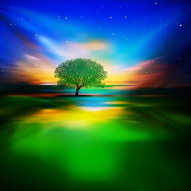 gündoğumu ve ağaç doğa arka plan