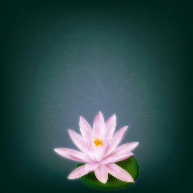 Grunge floral arka plan ile lotus