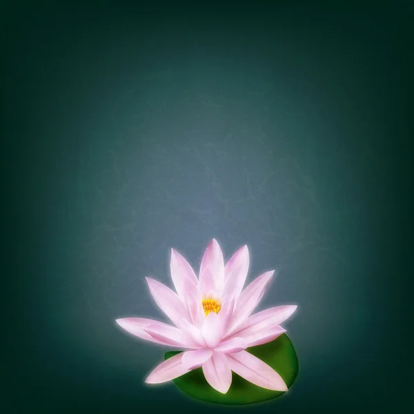 Abstrakt grunge floral bakgrund med lotus — Stock vektor