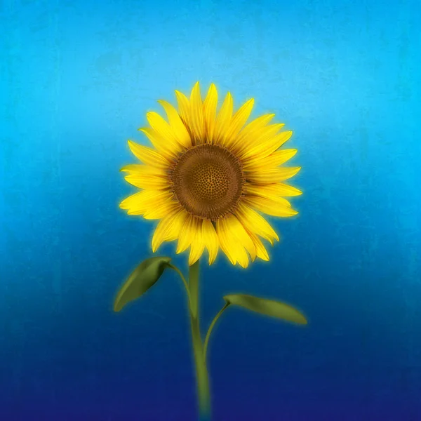 Grunge illustration florale avec tournesol — Image vectorielle