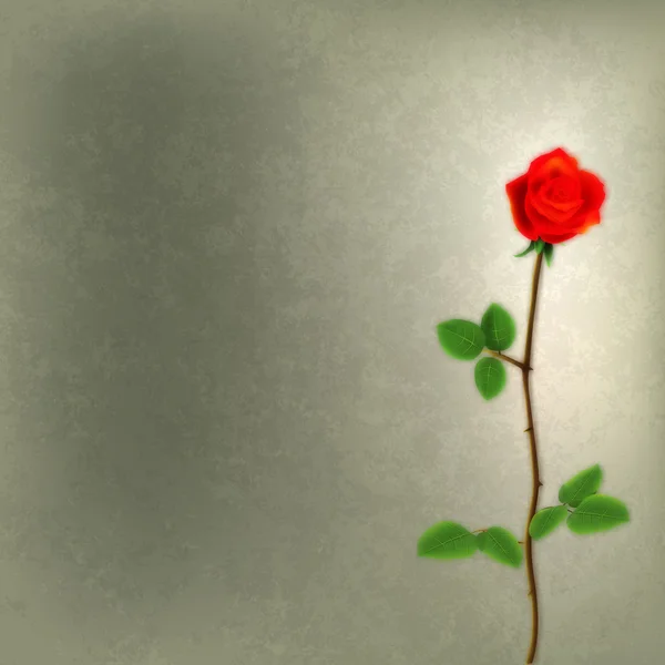 Abstrakter Grunge Hintergrund mit roter Rose — Stockvektor