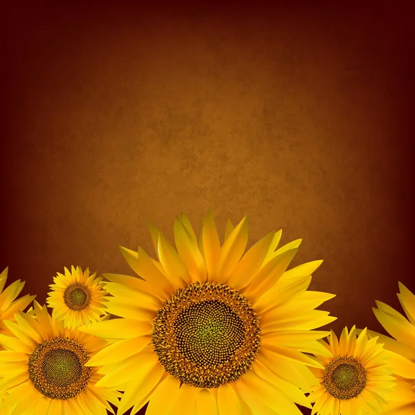 Абстрактний Квітковий Фон Соняшником — стоковий вектор