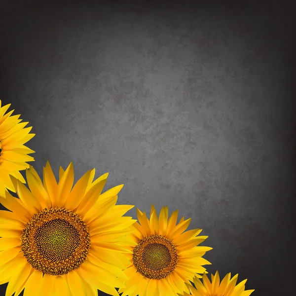 Fondo Floral Abstracto Con Girasol — Vector de stock