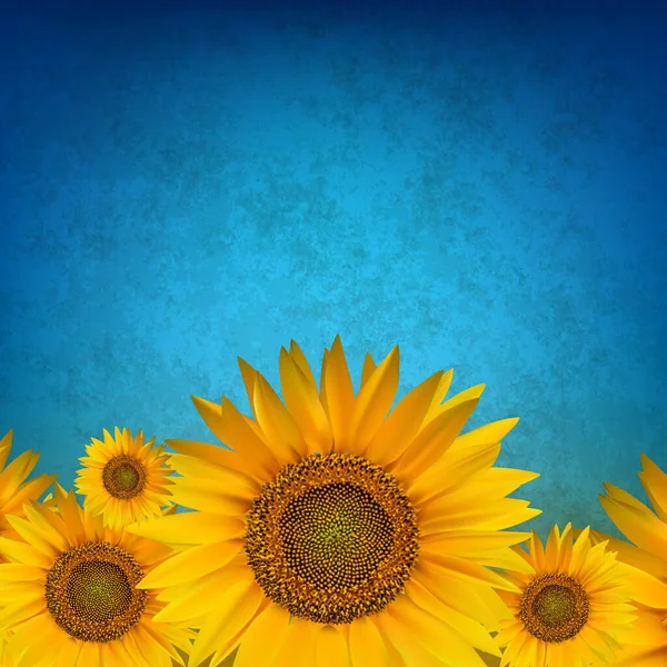 蓝色向日葵的抽象花卉背景 — 图库矢量图片