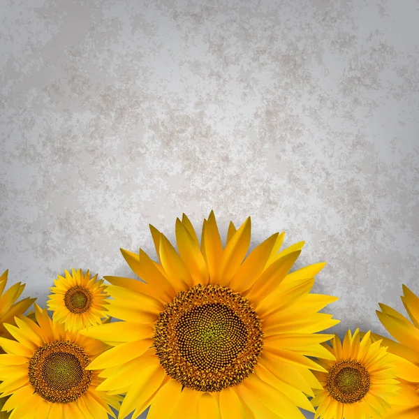 Abstraktní Květinové Pozadí Slunečnicí Správné Šedé — Stockový vektor