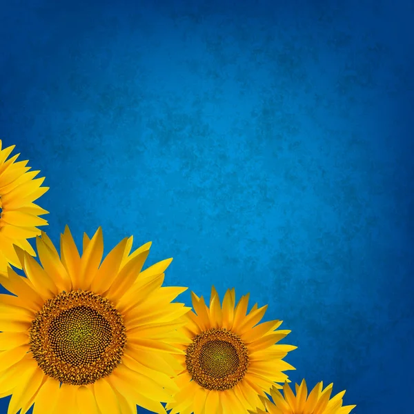 Fondo Floral Abstracto Con Girasol — Vector de stock