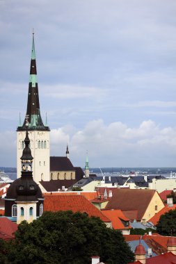 kilise. Tallinn, Estonya