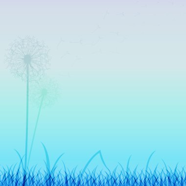 soyut karahindiba vektör