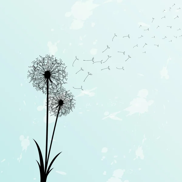 เวกเตอร์ dandelion อักษร — ภาพเวกเตอร์สต็อก