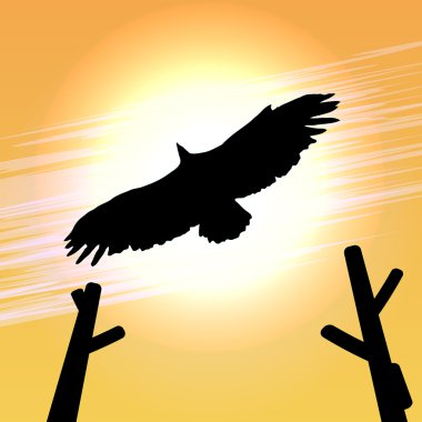 kafasına bir akbaba