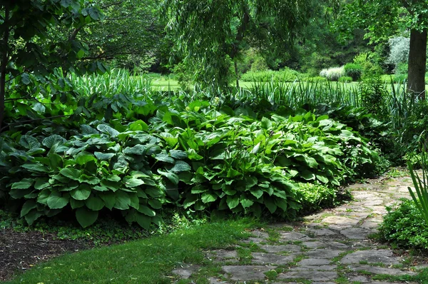 Botanischer Garten — Stockfoto