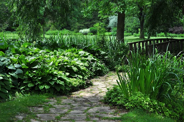 Botaniska trädgården — Stockfoto