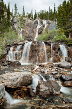 falls Creek arapsaçı
