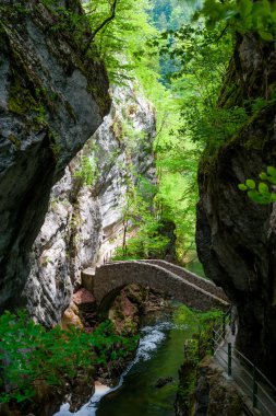 Gorges de l