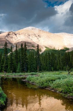 banff Ulusal Parkı içinde küçük gölet ile dağ manzarası