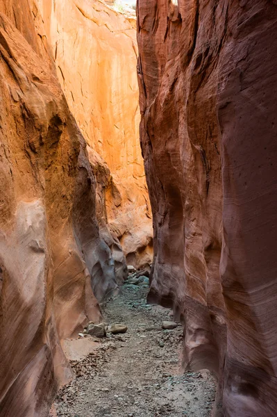 Száraz villát slot canyon — Stock Fotó