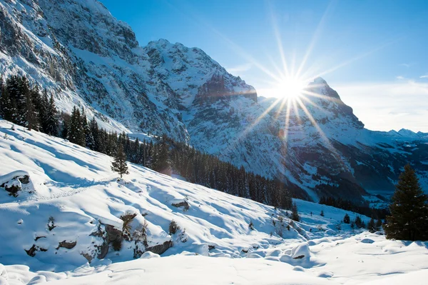 Panoramic scenery above Grindelwald — Stock Photo, Image