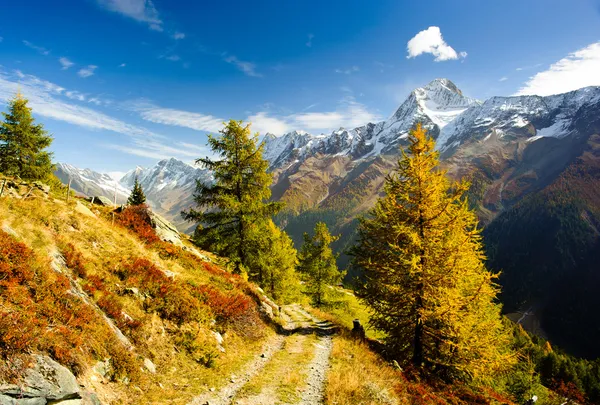 Bietschorn mountain peak in autumn with hiking trail — Stock Photo, Image