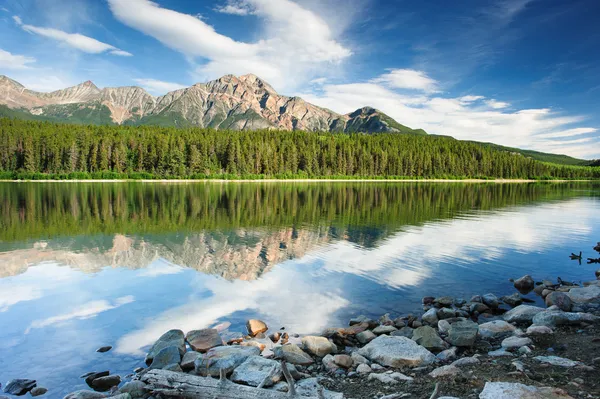 Patricia lake, jasper nationalpark — Stockfoto