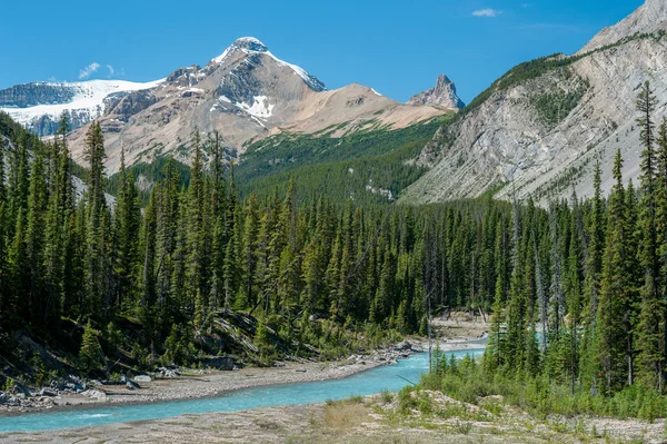 Στον ποταμό το parkway icefield στο εθνικό πάρκο jasper — Φωτογραφία Αρχείου