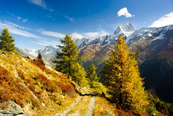Bietschorn κορυφή του βουνού το φθινόπωρο με πεζοπορική διαδρομή Εικόνα Αρχείου
