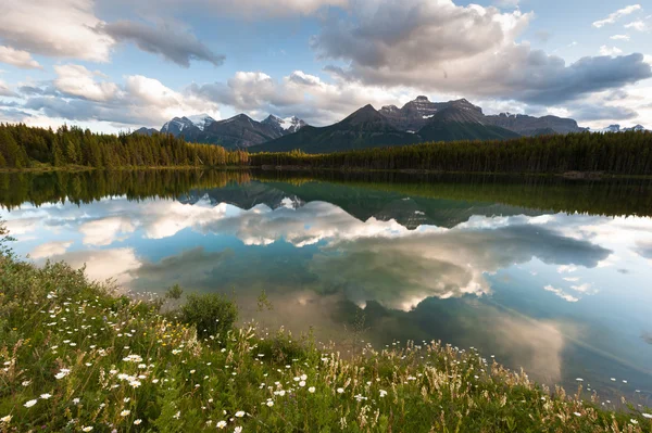 Herbert Lake panorama Royalty Free Stock Photos