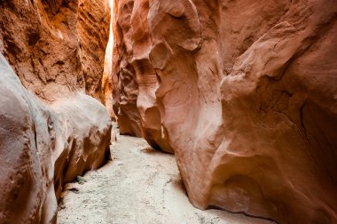 Kuru çatal yuvası kanyona