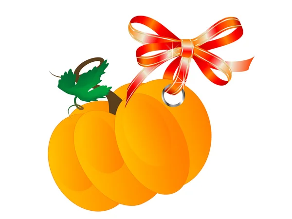 Citrouille orange — Image vectorielle
