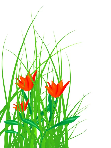 Tulipanes en hierba — Archivo Imágenes Vectoriales