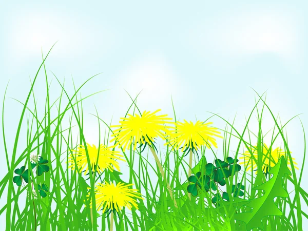 Dandelions — Stock Vector