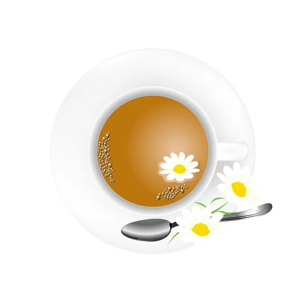 Camomile tea — Stock Vector