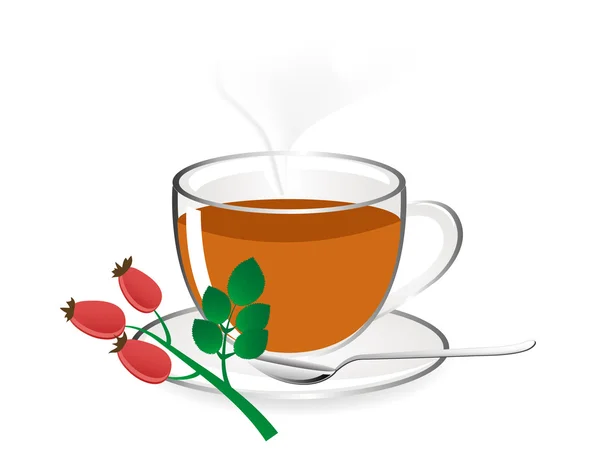 Rose hip tea — Stock Vector