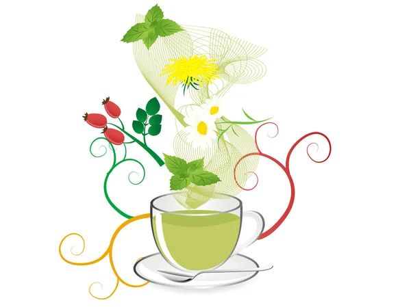 Herbal tea — Stock Vector