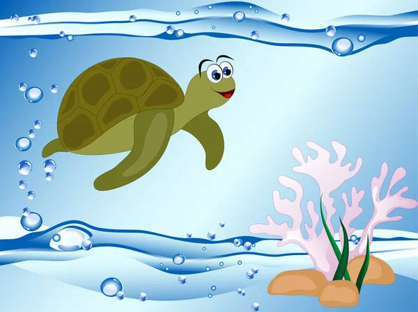 Turtle and coral — Stock Vector