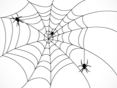 Örümcek Ağı