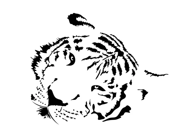 Белый тигр — стоковый вектор