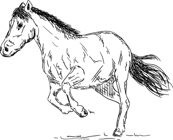 Corrida de cavalos — Vetor de Stock