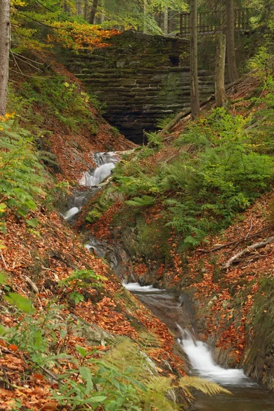 Waterfall — Stock Photo, Image