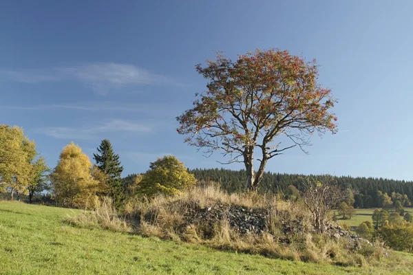 Autumn time — Stock Photo, Image