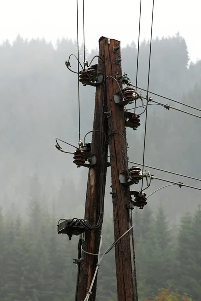 Old wooden pole — Stock Photo, Image