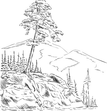 küçük tepe on ağacının