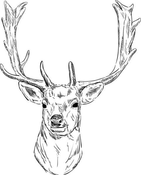 Fallow deer — Stock Vector