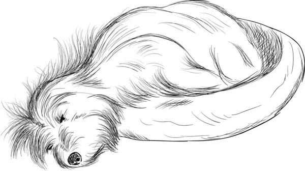 Chien dormir — Image vectorielle