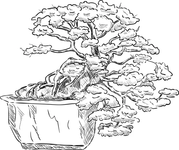 Árbol de Bonsai — Vector de stock