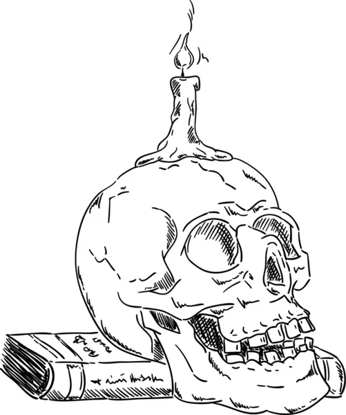 Halloween schedel — Stockvector