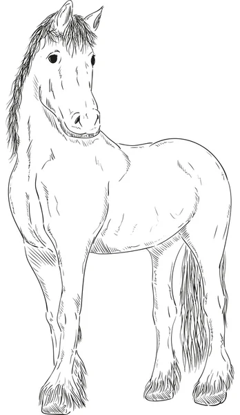 Кінь стенд — стоковий вектор