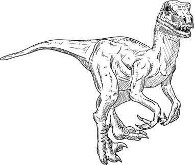 Vektör - Raptor dinozor çizimi arka planda izole edildi 