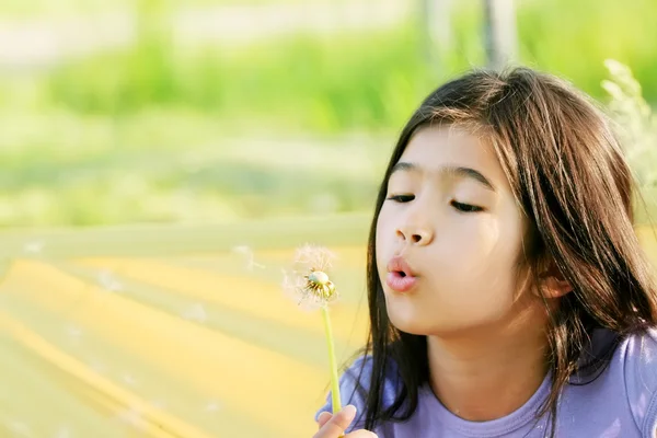 Criança soprando dente-de-leão — Fotografia de Stock