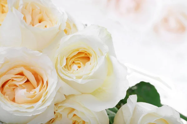 White roses with yellow centers — Stock Photo, Image